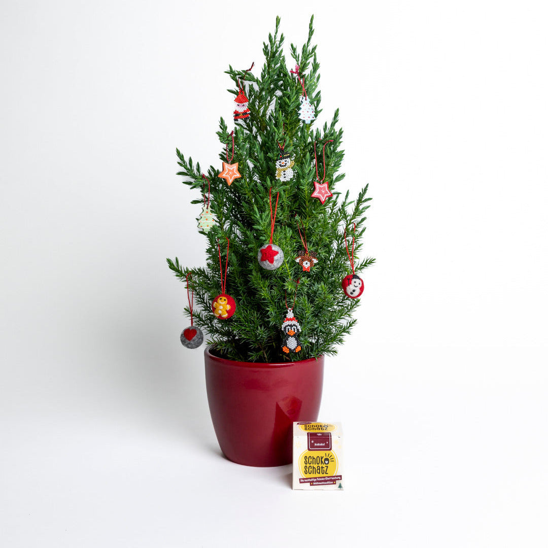 Geschenk-Anhänger Weihnachts-Edition (12 Stück)